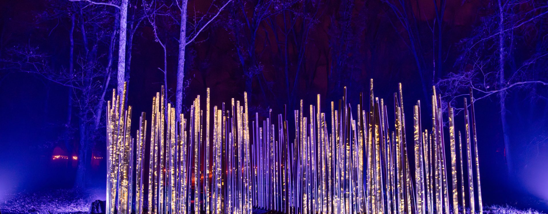 Enchanting Nightscape of Milan Light Cycles Vibrant Art Installation