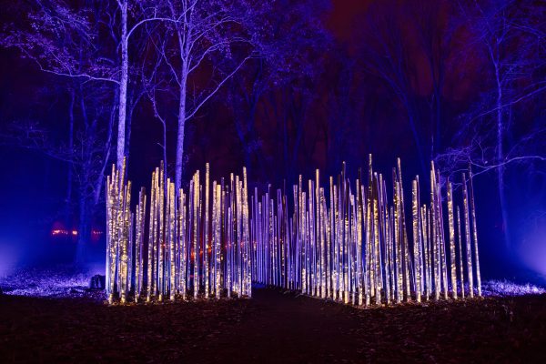 Enchanting Nightscape of Milan Light Cycles Vibrant Art Installation